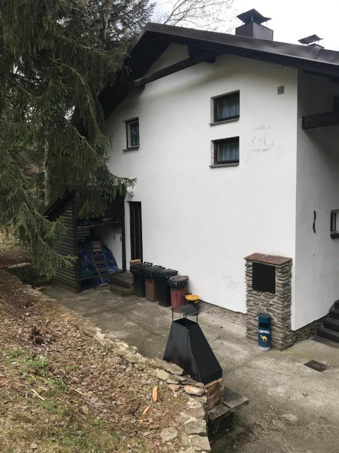 Horska Chata Na Brcalniku V Srdci Sumavy Zelezna Ruda Exterior photo