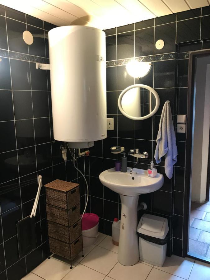 Horska Chata Na Brcalniku V Srdci Sumavy Zelezna Ruda Exterior photo